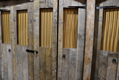 Old wooden door with metal bars in natural light