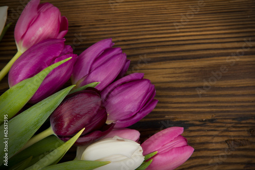 Fototapeta Naklejka Na Ścianę i Meble -  Tulip bouquet