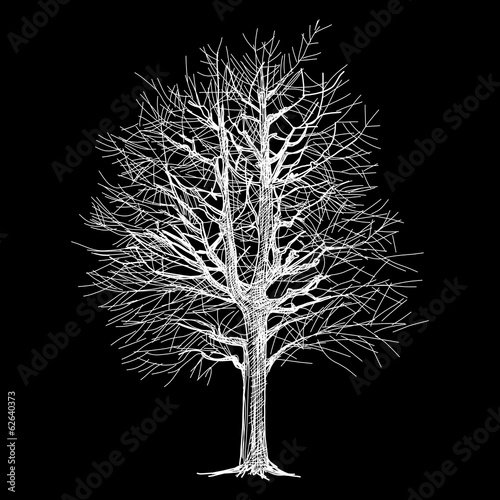 tree hand - drawn