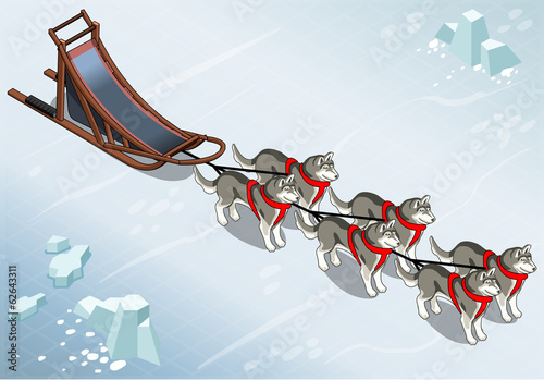 Isometric sled dogs in Front View on Ice