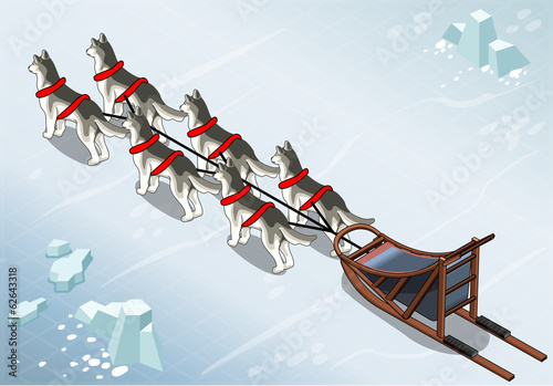 Isometric sled dogs in Rear View on Ice