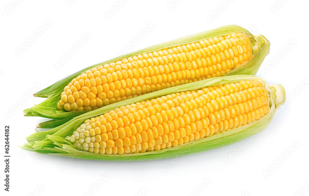 An ear of corn isolated An ear of corn isolated