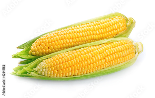 An ear of corn isolated