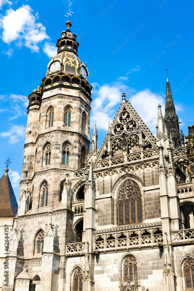 Fototapeta premium Cathedral of Saint Elizabeth, Kosice, Slovakia