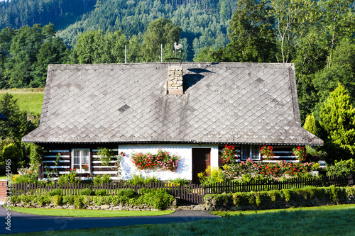 cottage with plants, Czech Republic #62644965