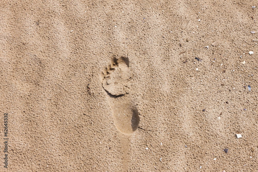 Human footprint on sand beach Human footprint on sand beach