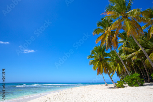 Fototapeta Naklejka Na Ścianę i Meble -  Paradise white sand beach with palms in tropical island