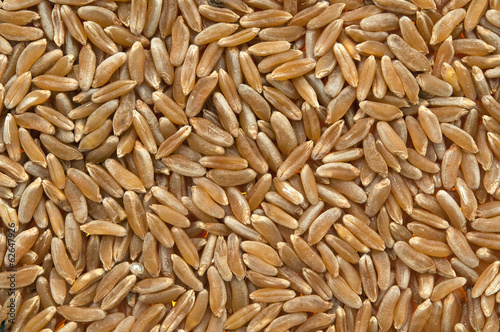 organic kamut