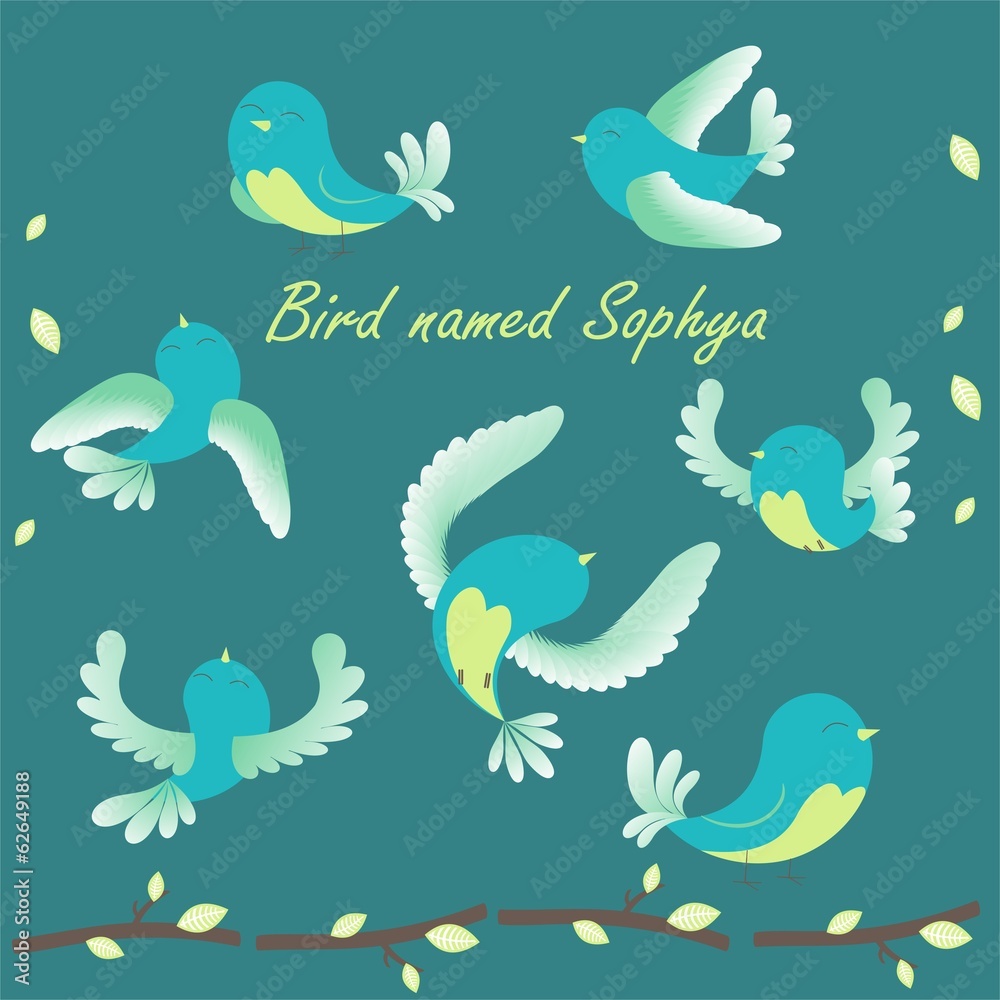 birdsophya birdsophya