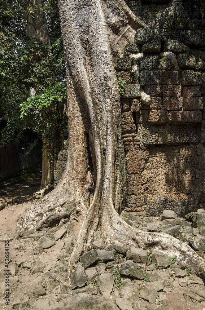 Angkor Wat - Indianer Jones | Tomb Raider Tempel Angkor Wat - Indianer Jones | Tomb Raider Tempel
