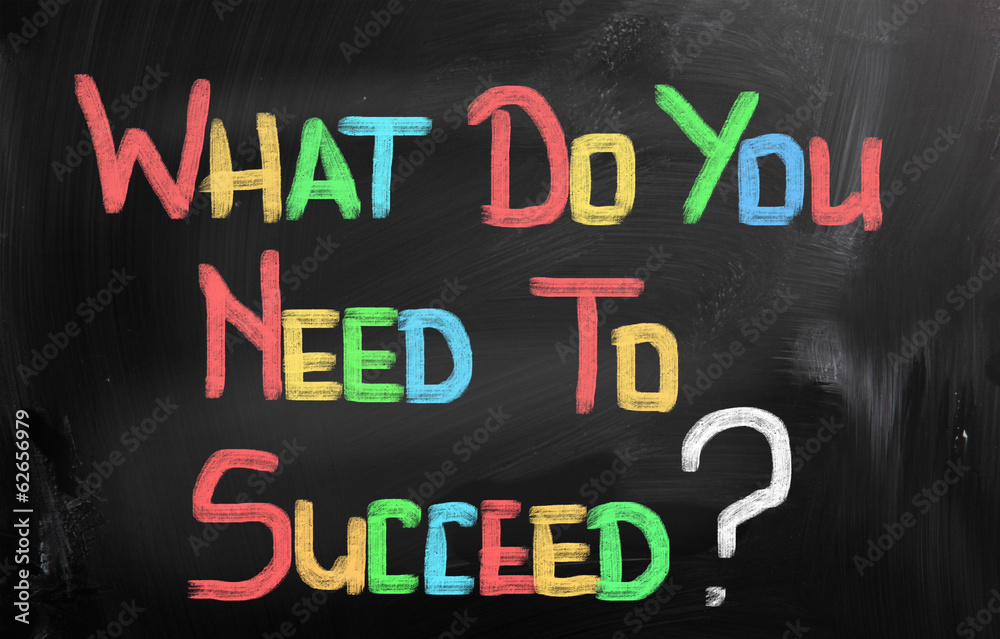 What Do You Need To Succeed Concept What Do You Need To Succeed Concept