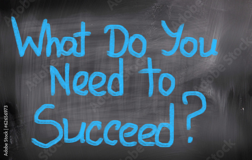 What Do You Need To Succeed Concept