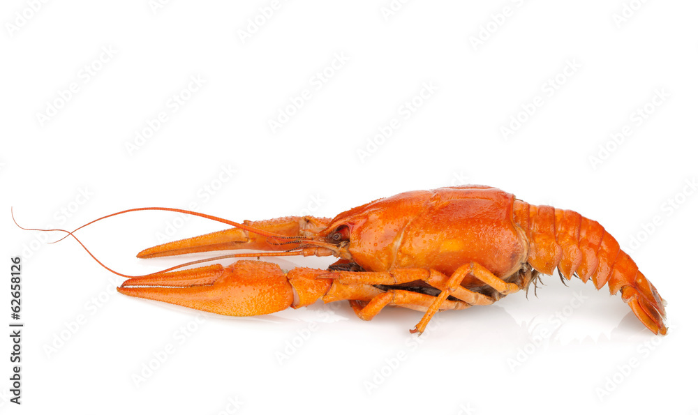 Boiled crayfish Boiled crayfish