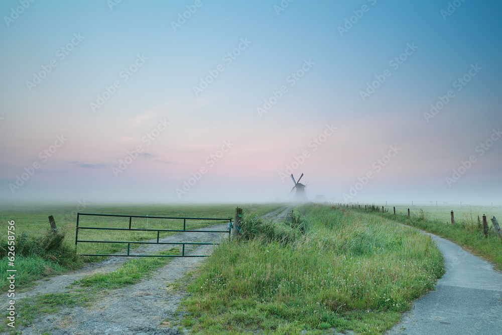 Obraz premium misty summer morning on Dutch countryside with windmill