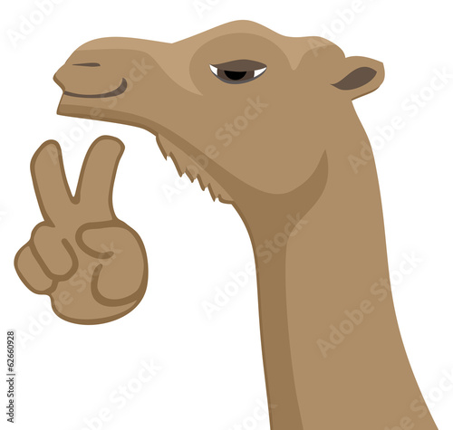 Happy camel
