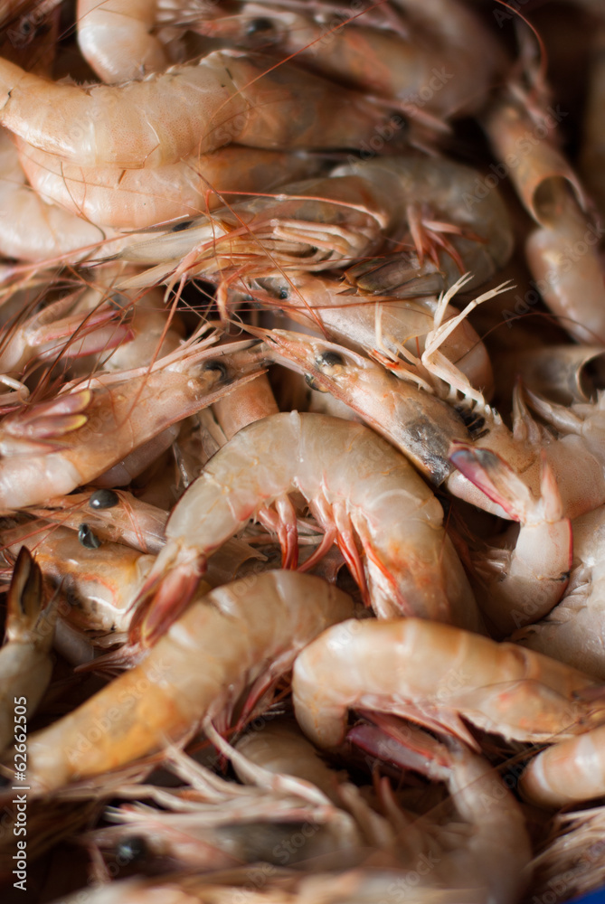 fresh shrimps for sale at the sea market