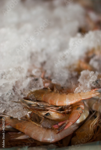 fresh shrimps for sale at the sea market