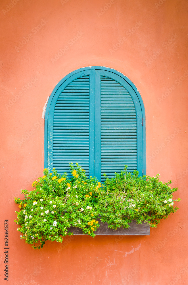 Tuscany window