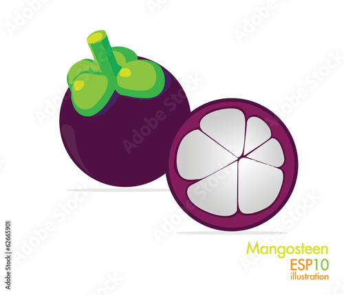 Mangosteen