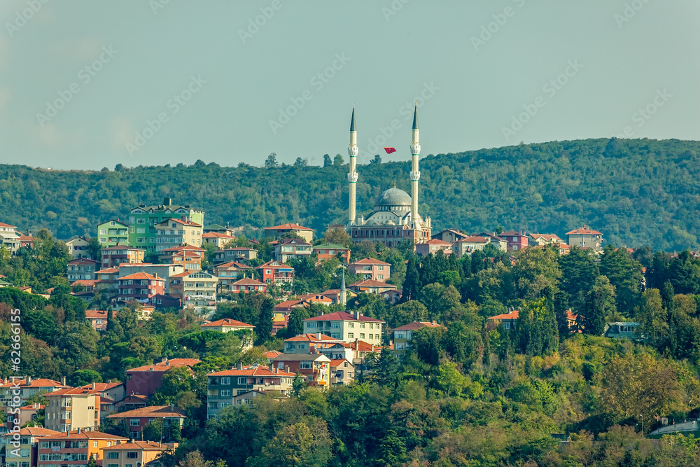 Fototapeta premium Sailing Bosphorus