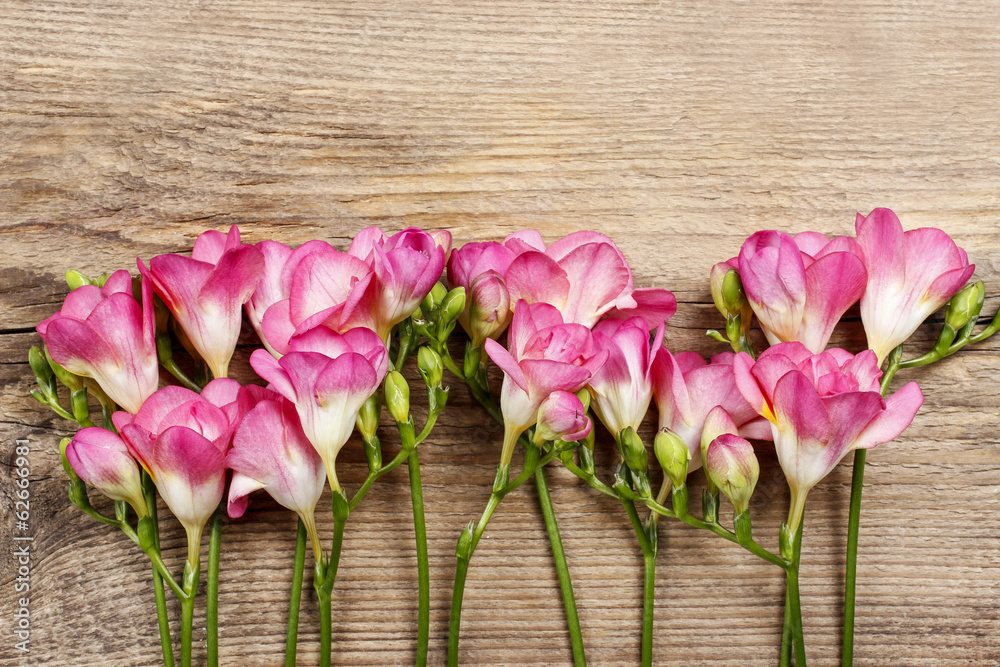 Pink freesia flowers on wooden background. Copy space