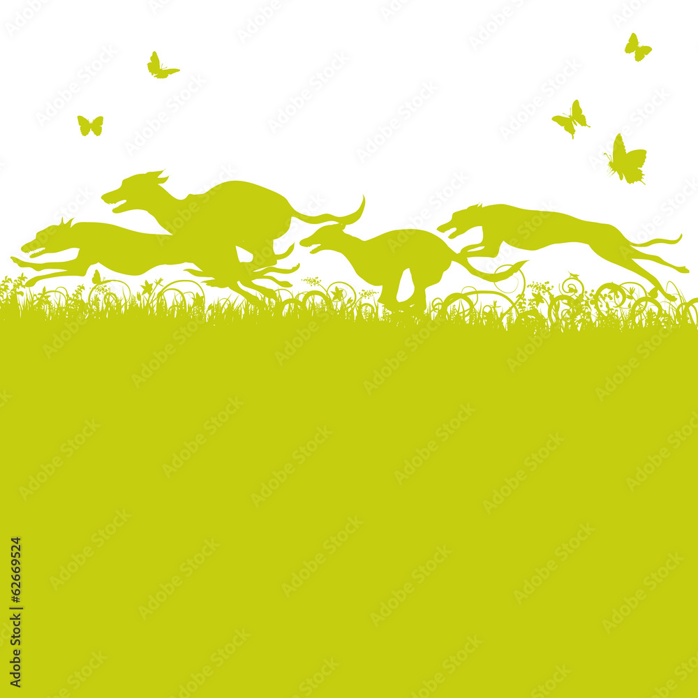 Grashalme und laufende Hunde Grashalme und laufende Hunde