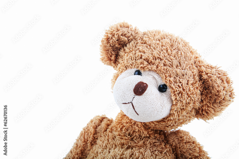 Obraz premium sad teddy bear