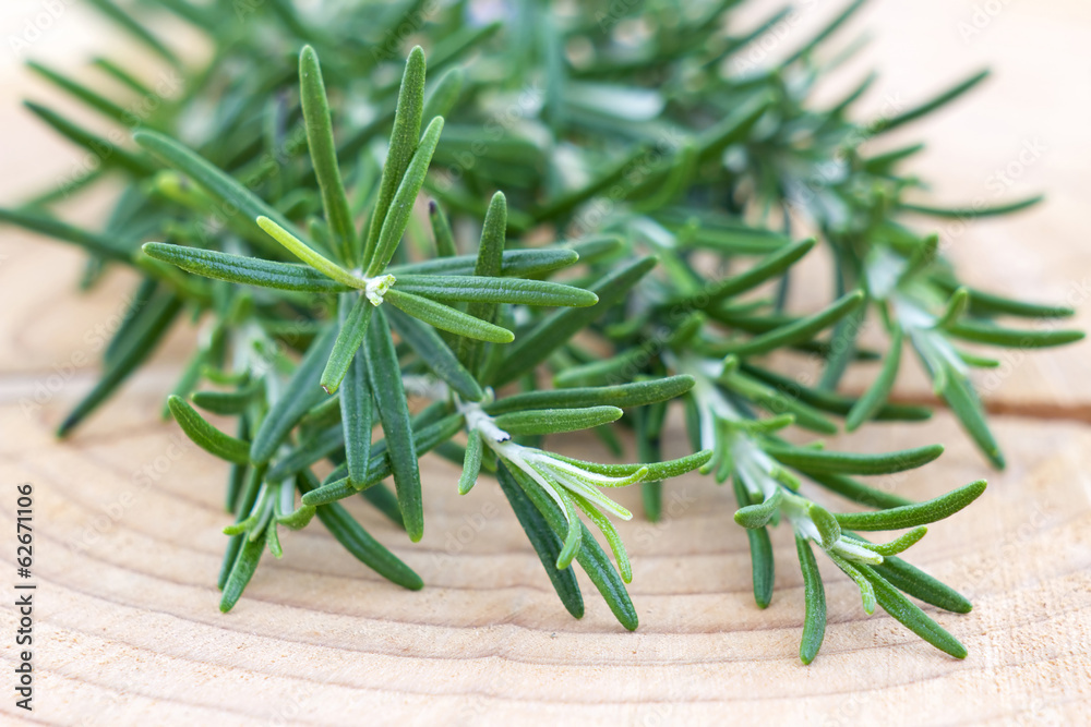 fresh rosemary (Rosmarinus officinalis) fresh rosemary (Rosmarinus officinalis)