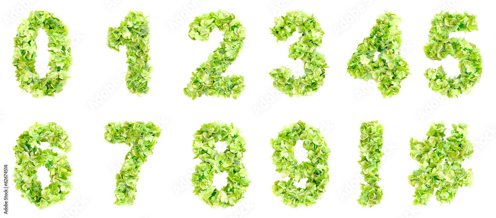 Green leaves digits Green leaves digits