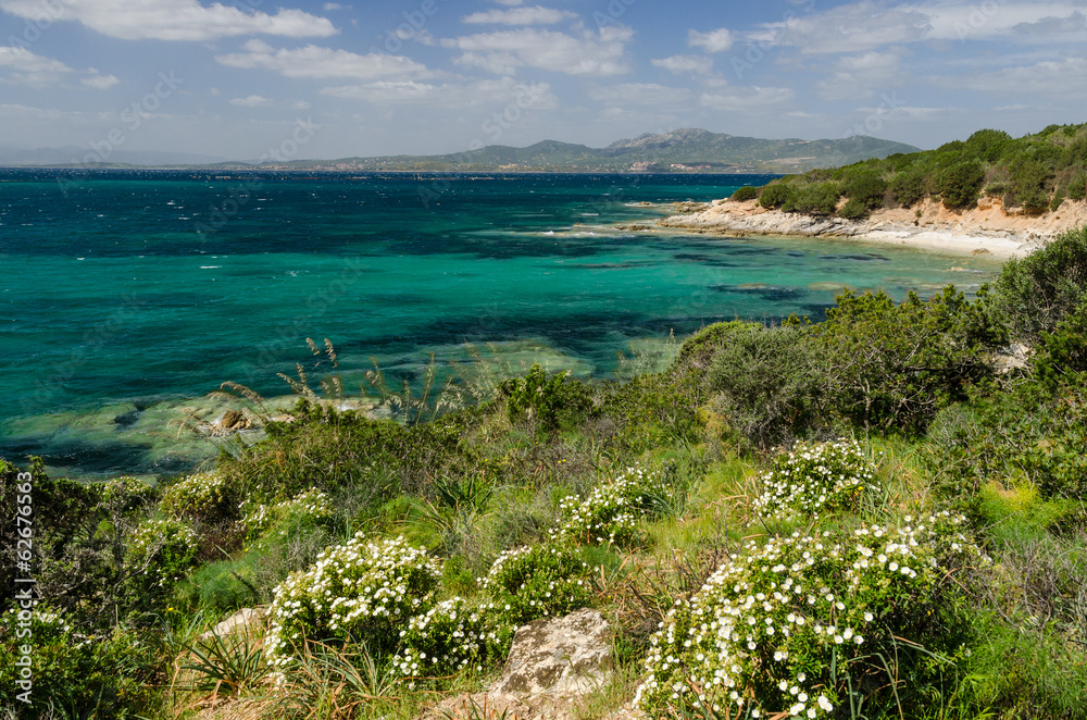 Sardinia Cala Moresca bay, near Golfo Aranci