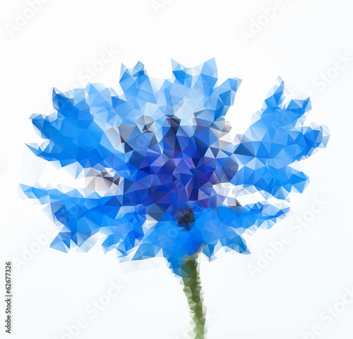 Fototapeta Naklejka Na Ścianę i Meble -  Vector illustration of flower