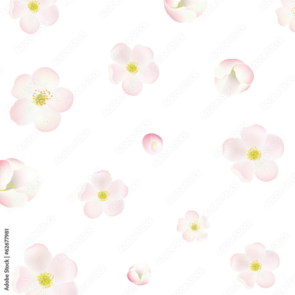 Apple Tree Flowers Background Apple Tree Flowers Background