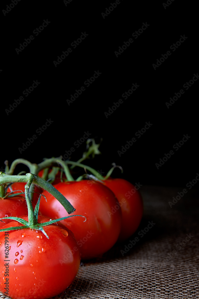 Closeup of tomatoes on the vine
