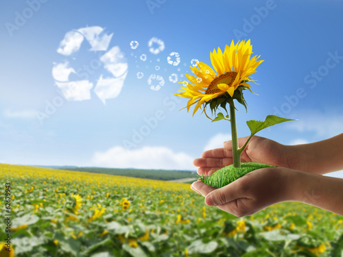 Nature in your hands