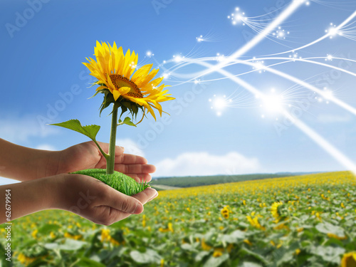 Nature in your hands