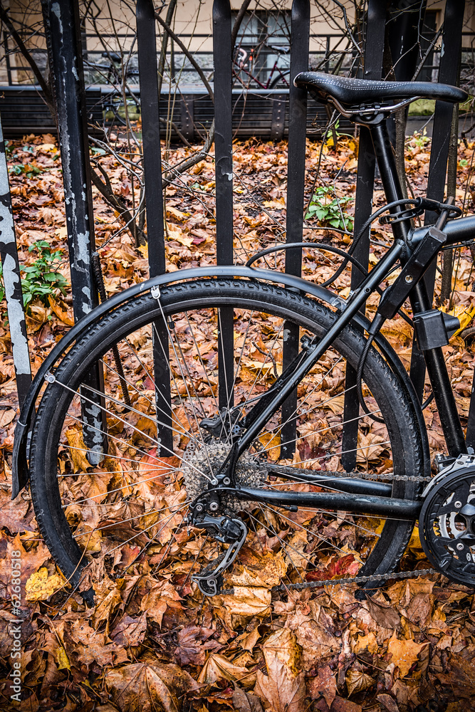Bicycle and autumn leaves