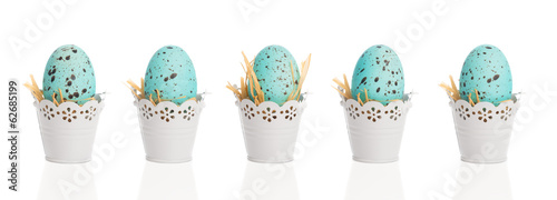 Blue Speckled Eggs
