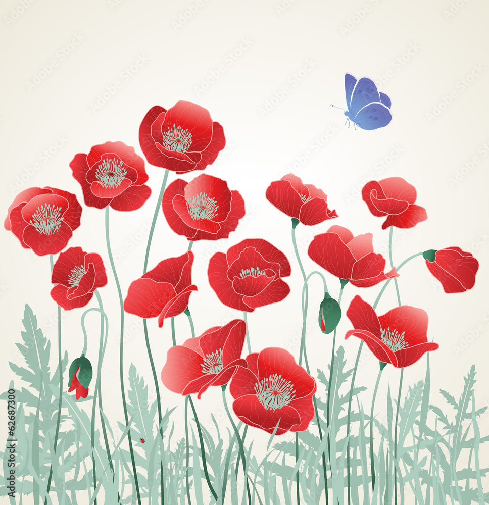 Field of Red Poppies with Blue Butterfly Field of Red Poppies with Blue Butterfly