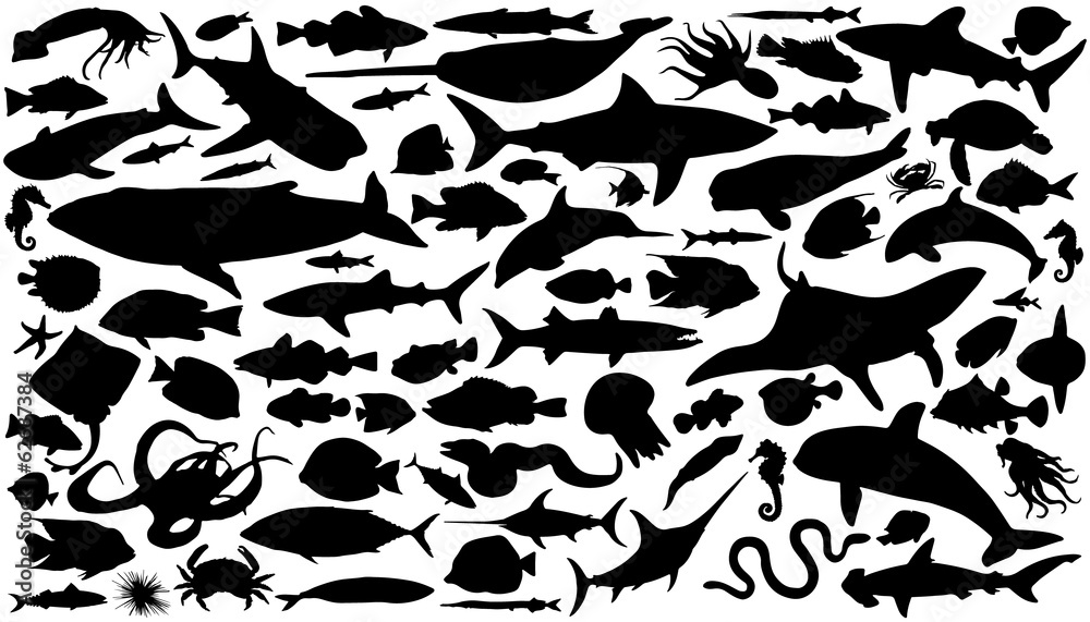 Naklejka premium sea animals silhouettes