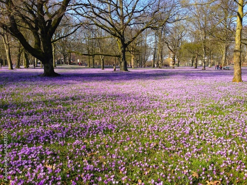 Schloss vor Husum Krokusblüte