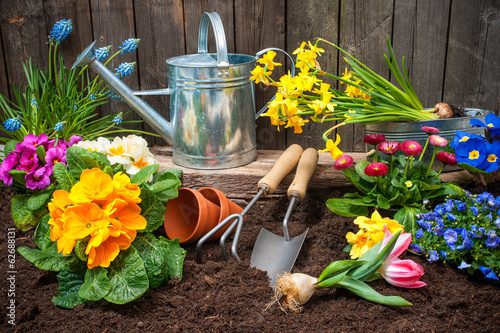 Fototapeta Naklejka Na Ścianę i Meble -  Gardening