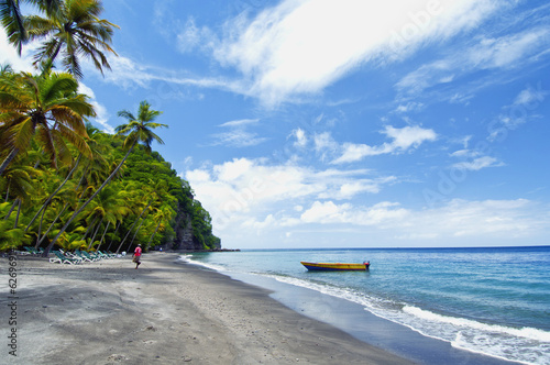 Fototapeta Naklejka Na Ścianę i Meble -  The Island of St. Lucia