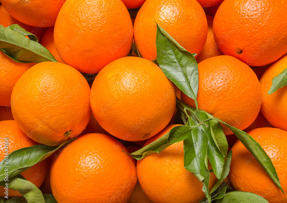 Tasty valencian oranges freshly collected Tasty valencian oranges freshly collected