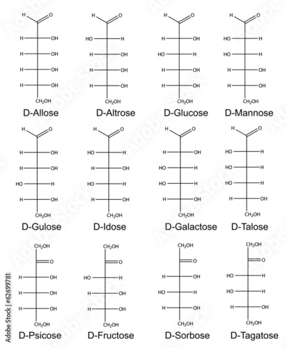 Acyclic basic structural formulas of monosaccharides (hexoses)