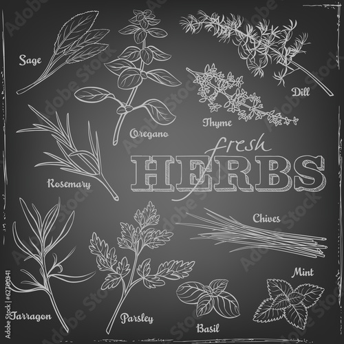 Illustration of herbs on a chalkboard