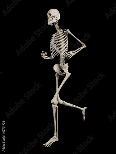 medical illustration - running skeleton