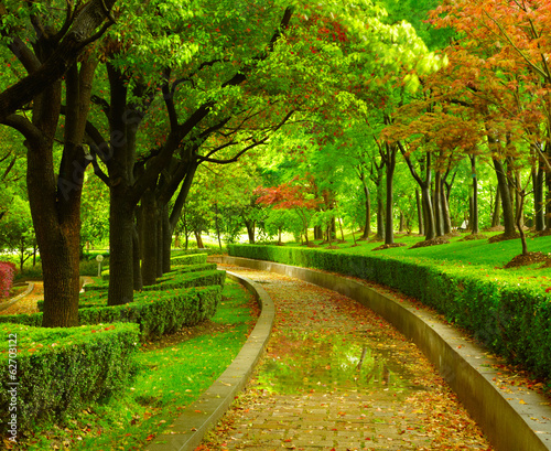 Photography Green city park. Shanghai, china