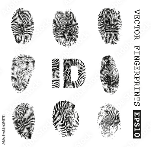 fingerprints vector
