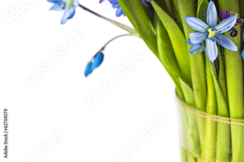 blue flowers in glass