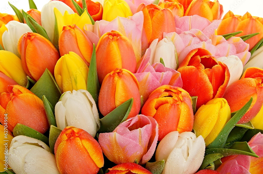 Bouquet of fresh colors tulips closeup Bouquet of fresh colors tulips closeup